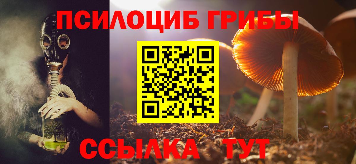 Галлюциногенные грибы MAGIC MUSHROOMS  Вход с VPN  Тавда 